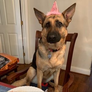 Meet your Posher, Arleen! 🤗